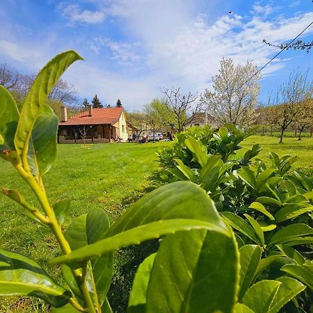 Fruska House Villa Besenovacki Prnjavor Ngoại thất bức ảnh