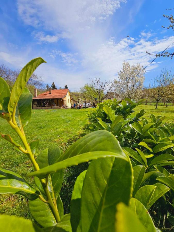 Fruska House Villa Besenovacki Prnjavor Ngoại thất bức ảnh