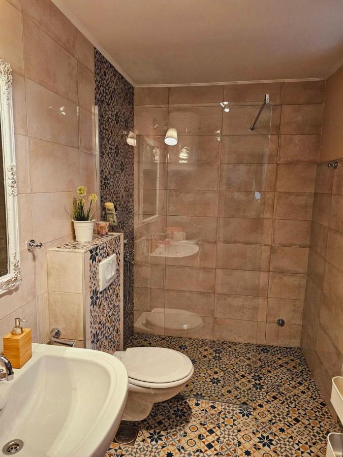 Fruska House Villa Besenovacki Prnjavor Ngoại thất bức ảnh